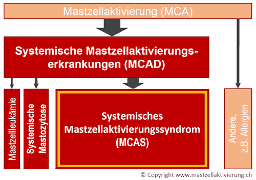 Schema MCAD