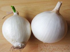 [White Onion]